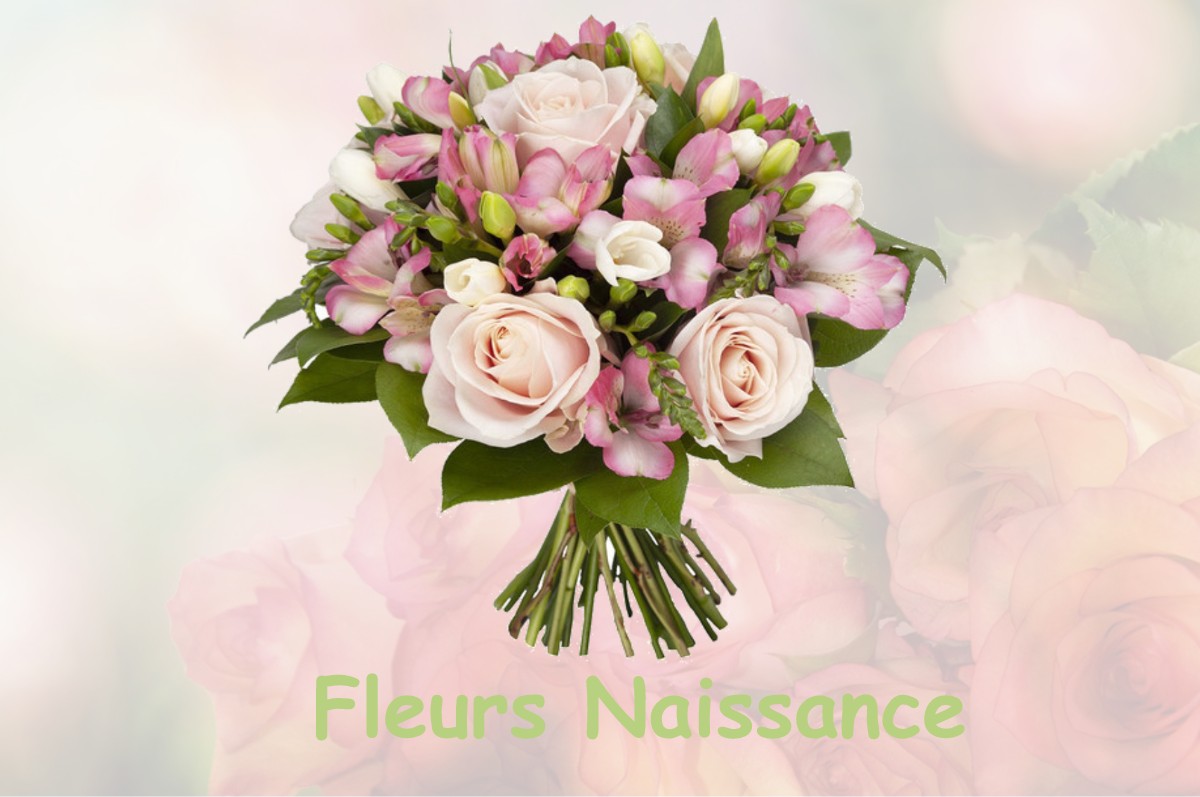 fleurs naissance FLEURY-SUR-LOIRE